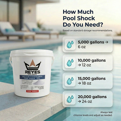 Chlorine Tablets + Pool Shock 70% | 10 lb + 10 lb - Las Vegas